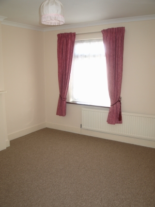 Penguin Properties - Hitchin